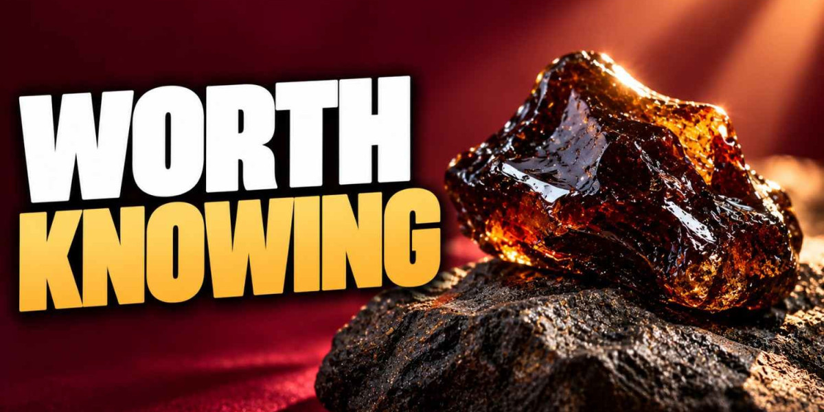 What Are the Key Shilajit Benefits for Women’s Daily Wellness?